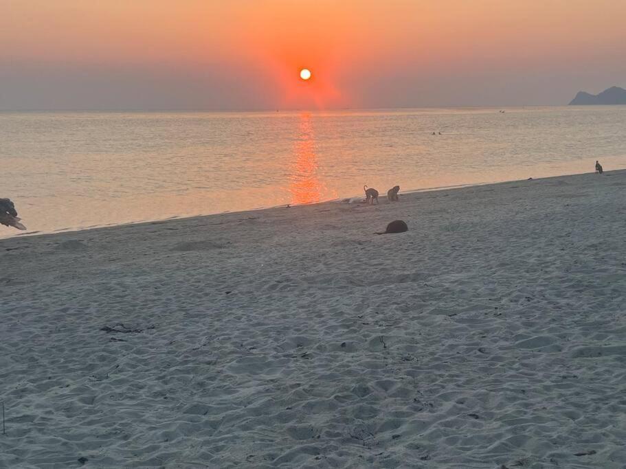 Sunset Serenity Cove Ko Pha Ngan Esterno foto