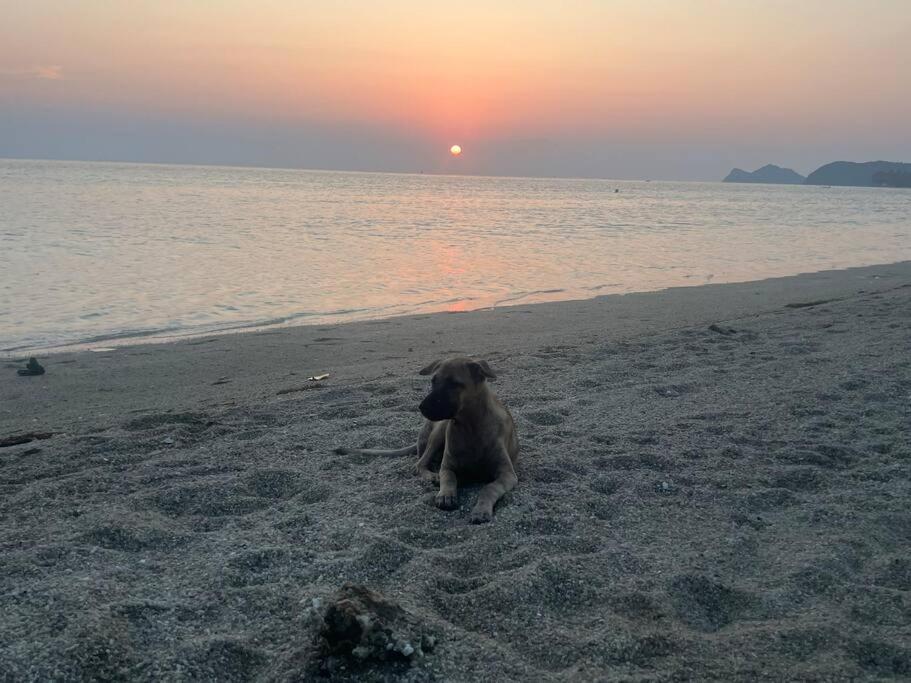 Sunset Serenity Cove Ko Pha Ngan Esterno foto